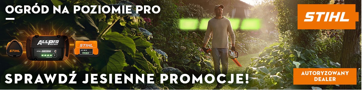 Ogród na poziomie